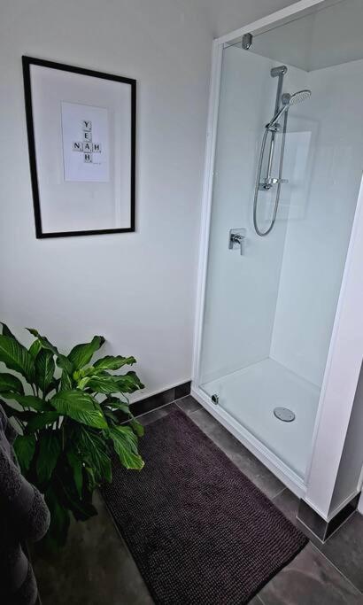 Apartment 4 - Haddin Court - Chic Ny Loft Style Blenheim Exteriör bild